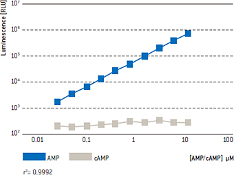 AMP検出の直線性