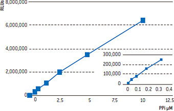 発光シグナルと PPi の含有量との比例関係