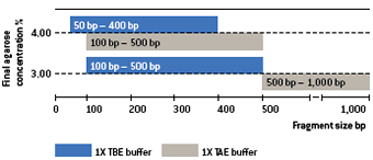 uSieve™ 3:1 Agarose 0 100 200 300 400 500 1,000 Final agarose concentration % Fragment size bp 1X TBE bu