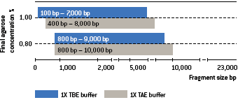 SeaKem® GTG™ アガロース