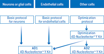 4D-Nucleofector™システム用の接着細胞Nucleofector™キット