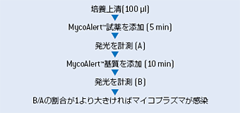 シングルアッセイにもマルチプレートアッセイにも対応可能なシンプルなプロトコル