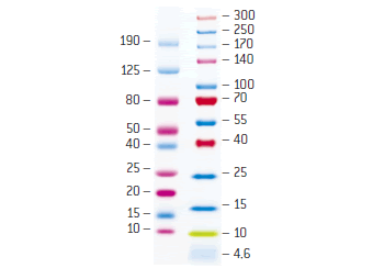 ProSieve™ カラータンパク質マーカー