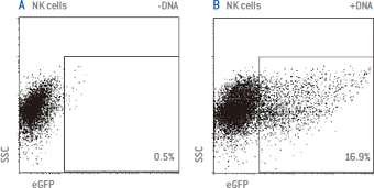 ヒト初代NK細胞へのNucleofection™