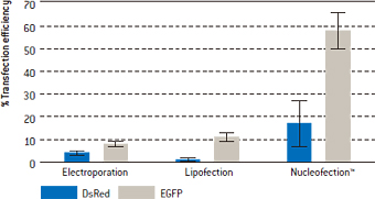 ラット神経前駆細胞への遺伝子導入効率を既存のエレクトロポレーション、リポフェクションおよびNucleofection™で比較