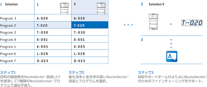 Nucleofector™ II/2b装置用細胞株最適化キット