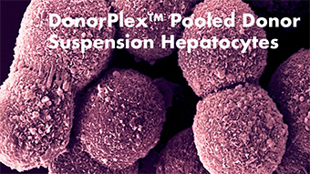 plated_human_hepatocytes
