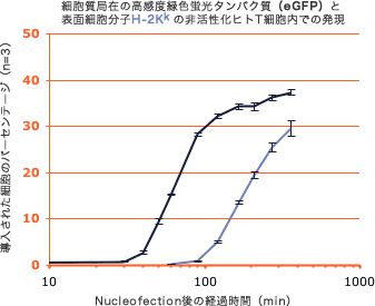 新鮮分離した非誘導ヒトT細胞に発現する2つの異なるタンパク質の初期段階