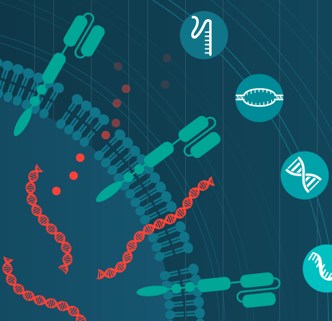 ウェビナーのご案内